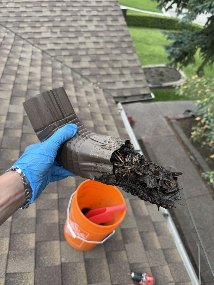 Blocked downspout opening filled with compacted leaf debris on a Calgary house
