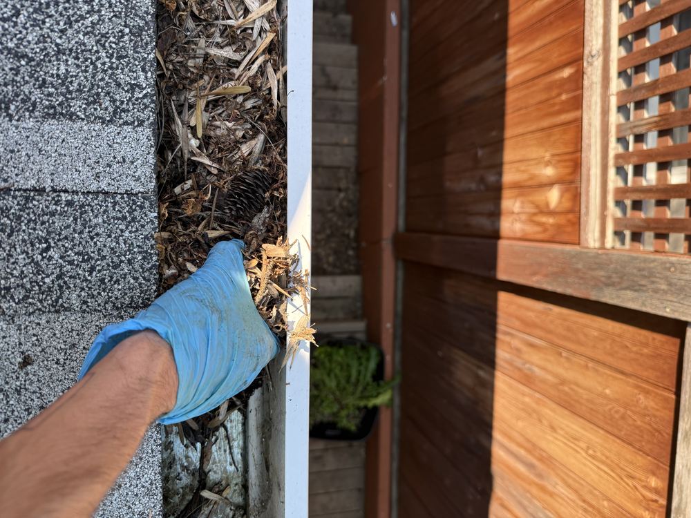 Gloved hand pulling compacted debris out of a downspout elbow on a Calgary roof