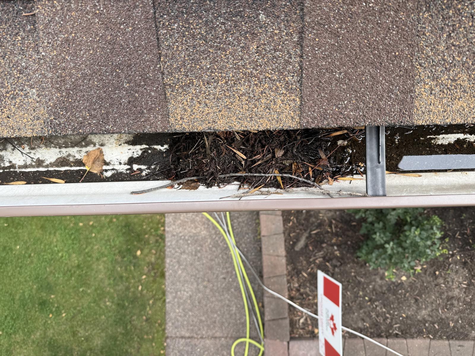 Eavestrough on a Calgary home packed solid with wet leaves, twigs and shingle grit before cleaning
